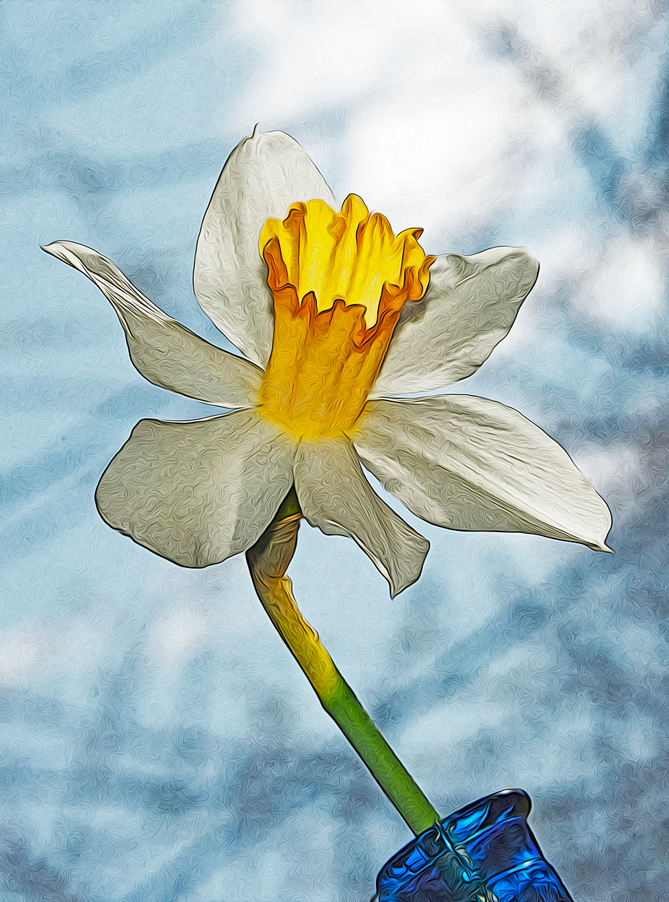 The Tazetta Daffodil aka Narcissus Geranium at 3 Dog Acres in the rural Ozark Highlands on 7 April 2022