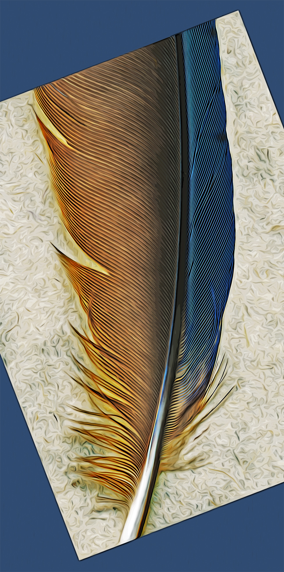 a feather of the Indigo Bunting found on the earth of 25 July 2022