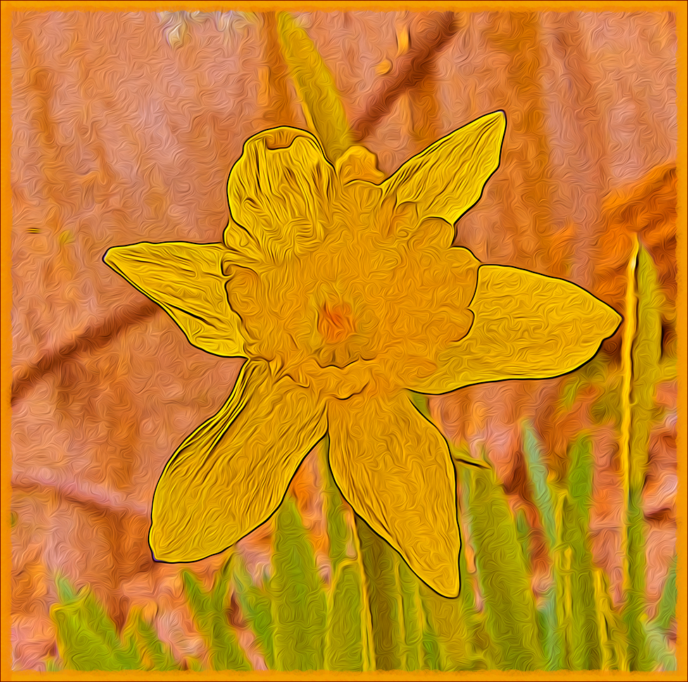 daffodil at 3 Dog Acres on 2 March 2022