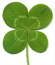 you'll need a four-leaf clover to survive this