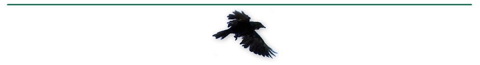 flying crow with line