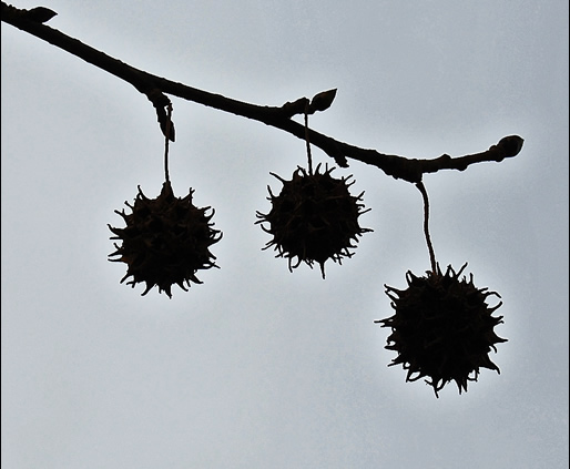 gum balls silhouette