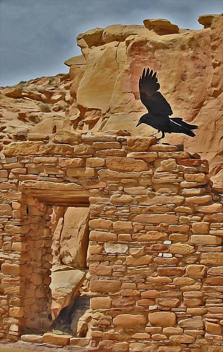 Raven at Chaco Canyon 2 June 2009