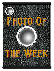 go to Photo of the Week Index