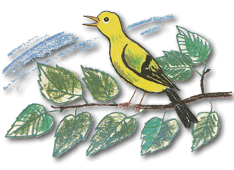 chirping yellow bird