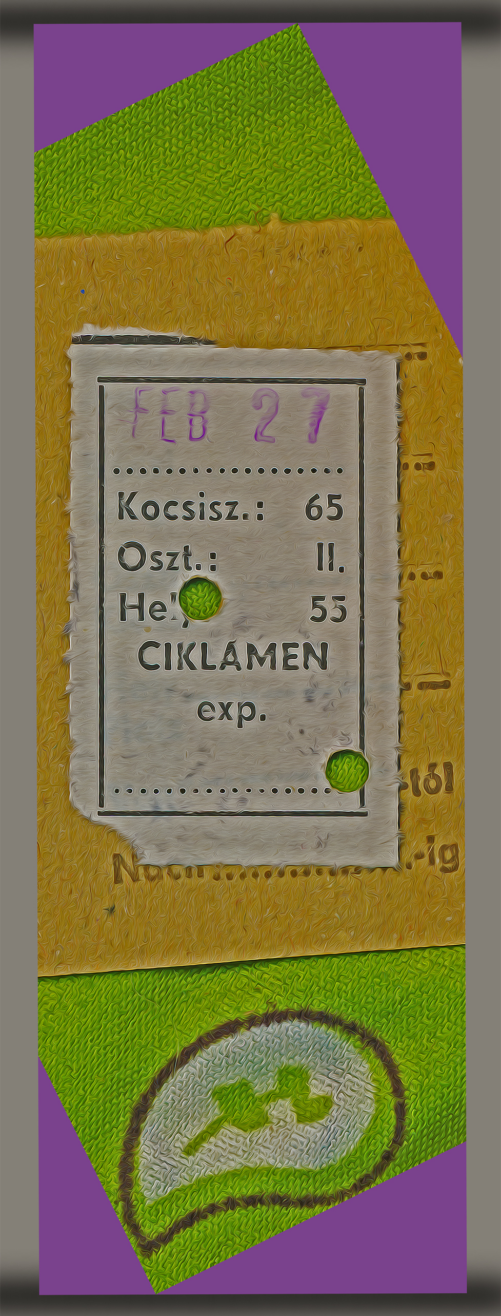 a ticket from February 27 1991 for a ride on the famous Hungarian Ciklaman Express from Gyor to Budapest and return