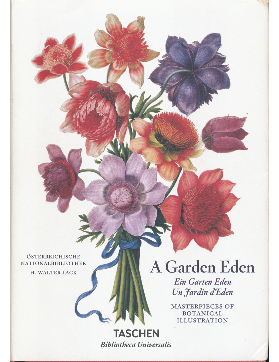 A Garden Eden