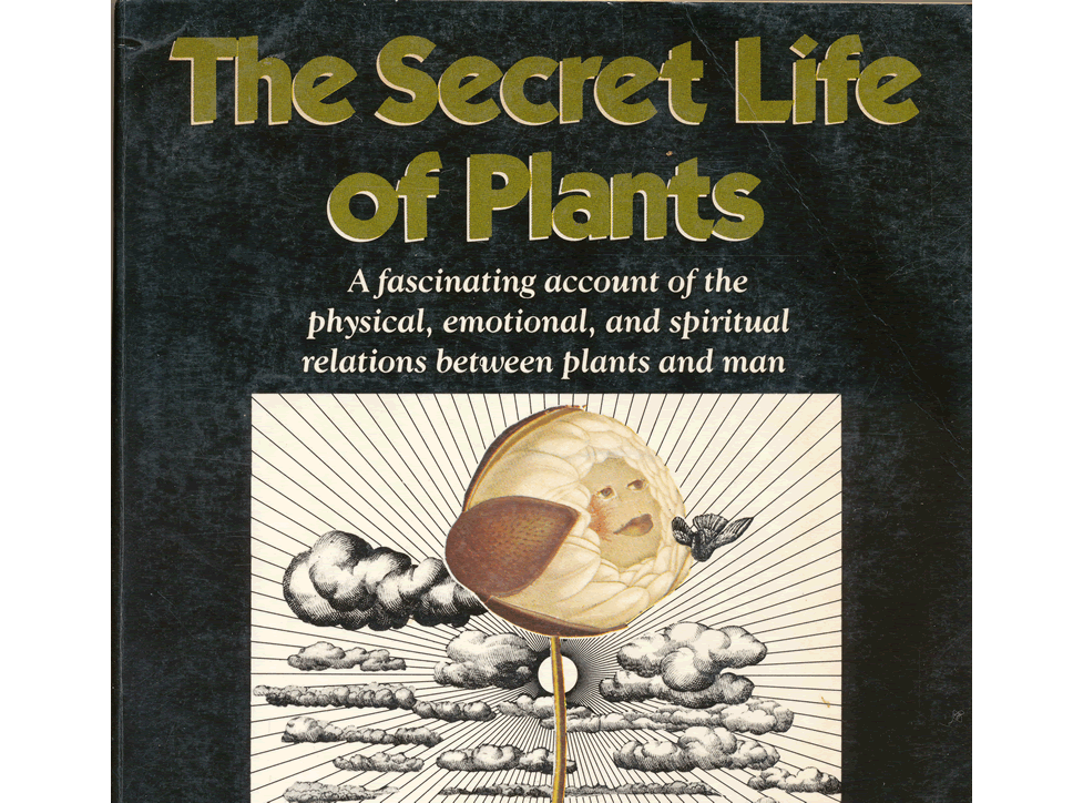 Secret Life of Plants