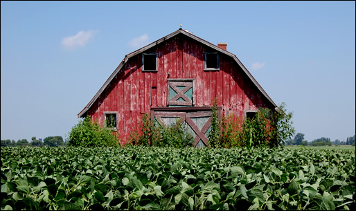 Weinkauf Barn