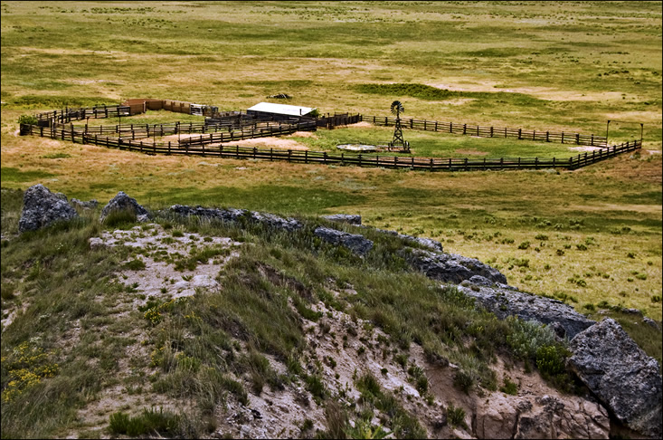 Bison Pen