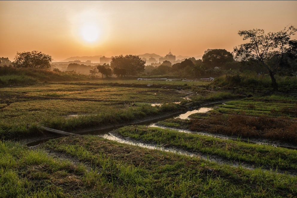 Long Valley Dawn