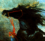 Black Horse