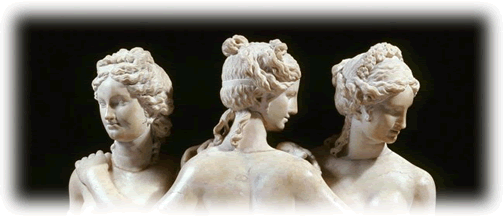 3 Graces