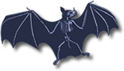 a bat