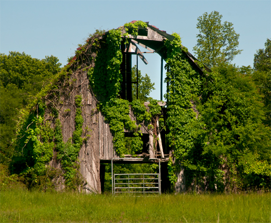 barnview