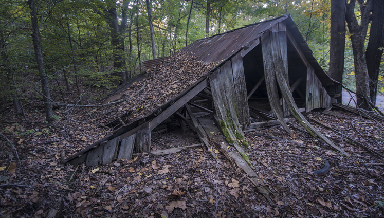 lean-to a