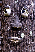 treeman